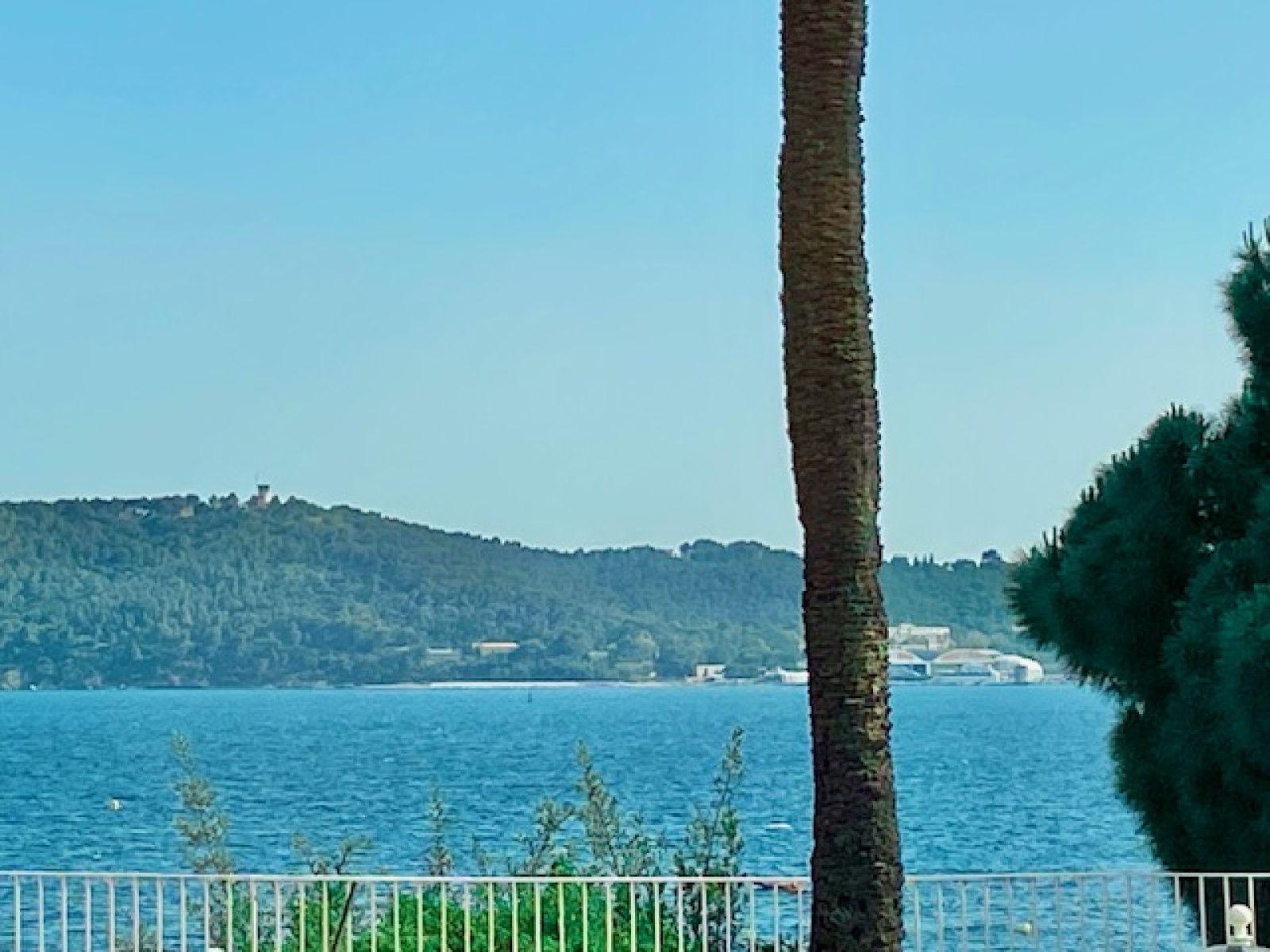 Image_, Appartement, Toulon, ref :201726