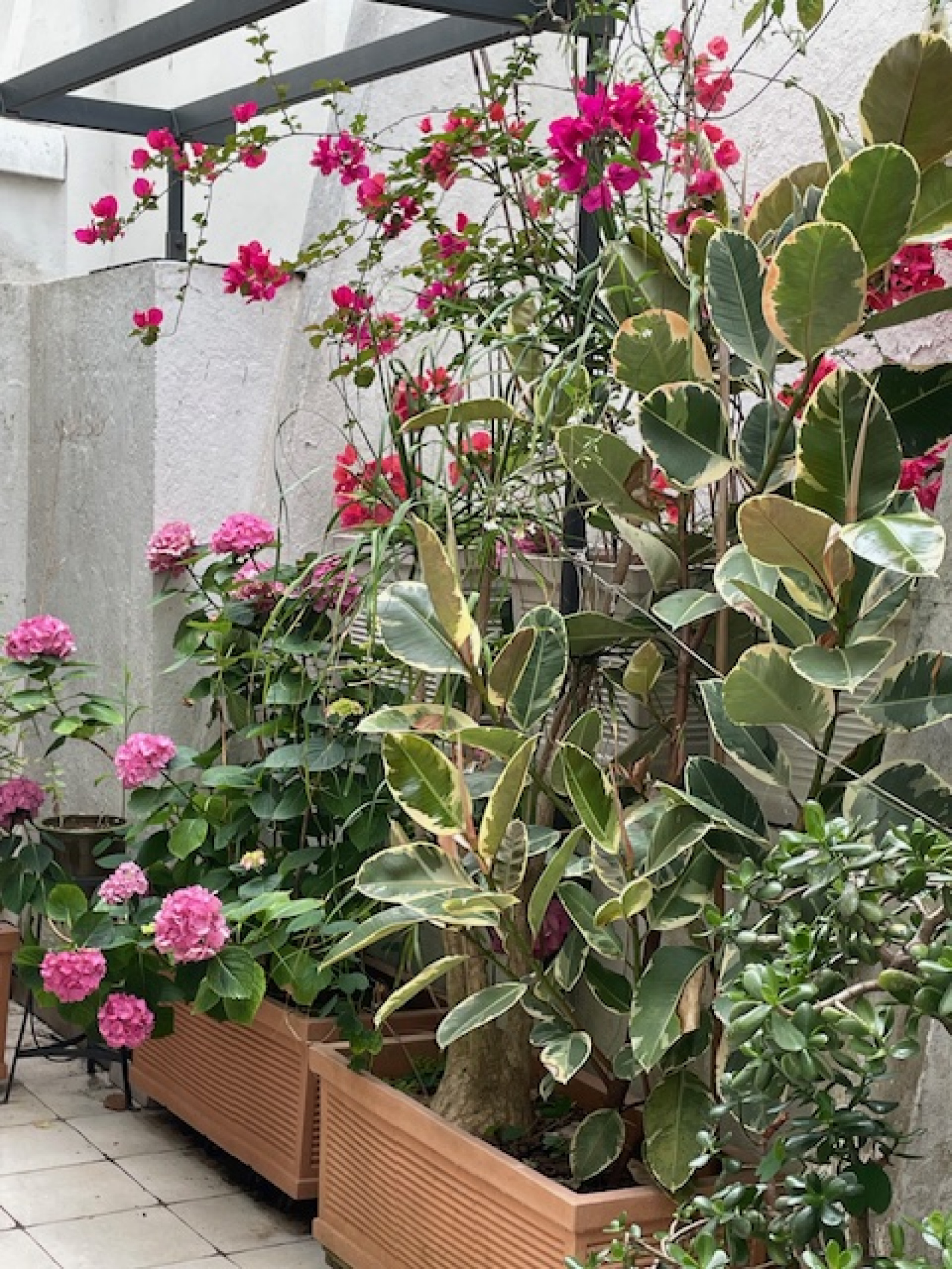 Image_, Appartement, Toulon, ref :201726